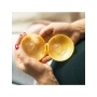 Contact nipple shield L, 2pcs, Medela.